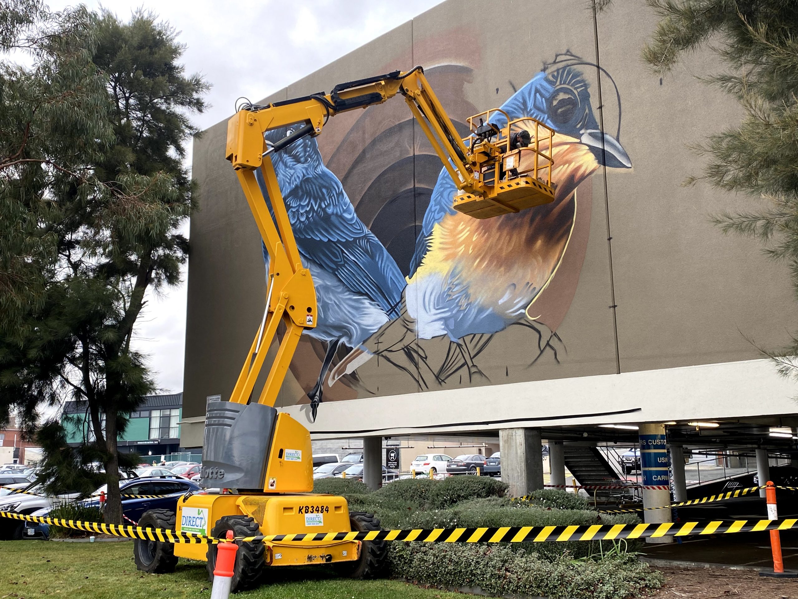Bird-themed mural by Jamin on the Corridor of Modern Art near Northgate Shopping Centre in Glenorchy