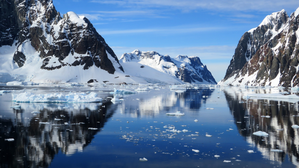 4one4 Property Co | Antarctic Festival | Things to check out at Antarctic Festival 2022