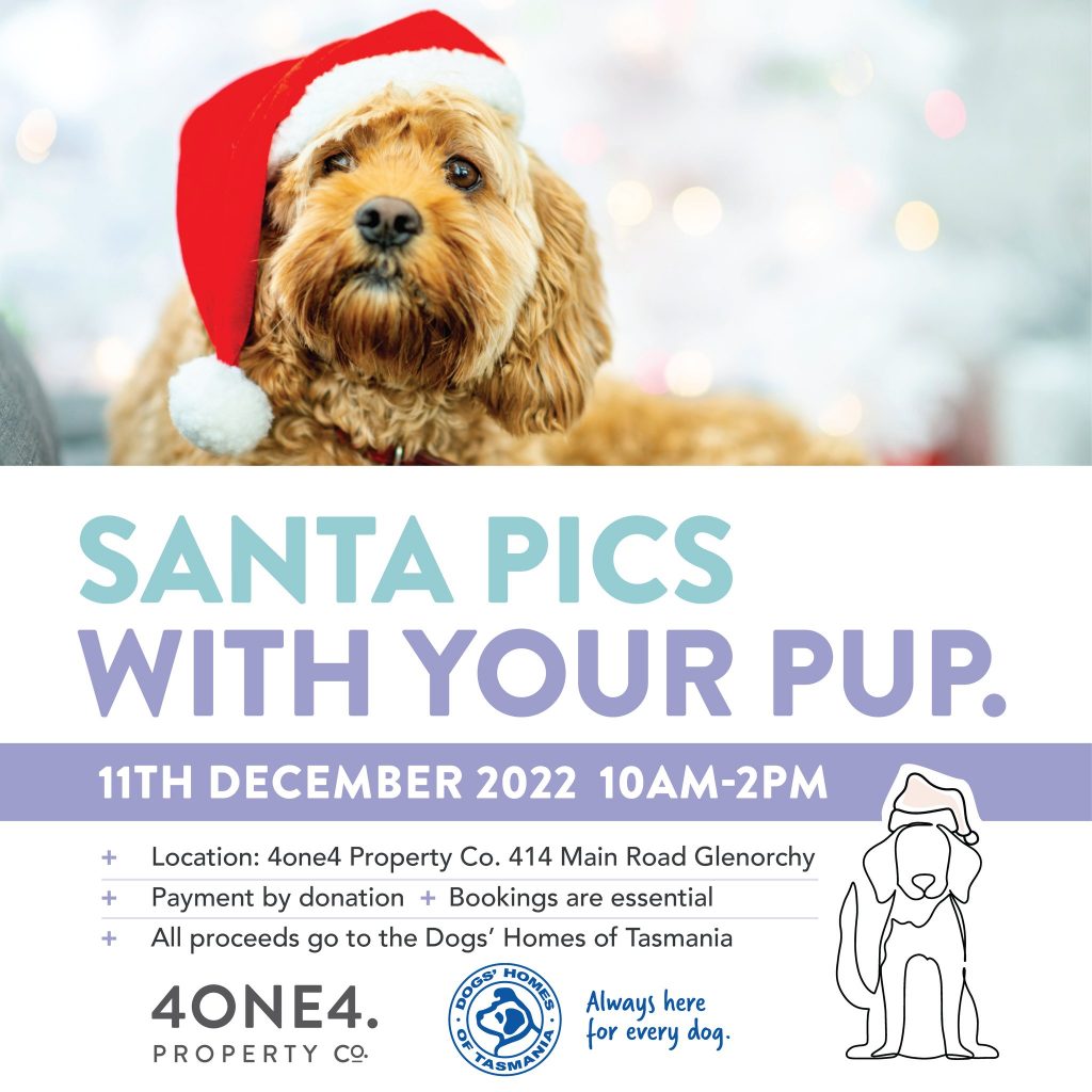 4one4 Property Co | Santa Paws | 4one4 Property Co's marketing material for the Santa Paws event